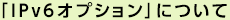 「IPv6オプション」について